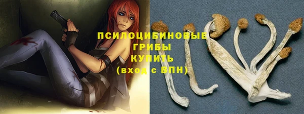 прущая мука Абаза