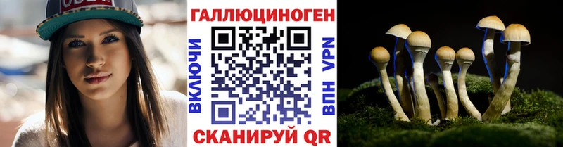 Галлюциногенные грибы Cubensis  наркошоп  Змеиногорск 